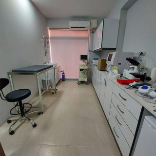 veteriner-klinik-2